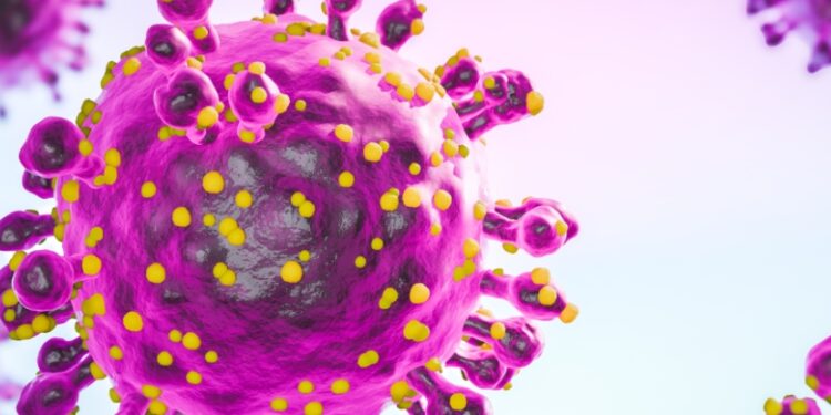 Oropouche Virus Outbreak Hits Europe as First Deaths Confirmed in Brazil : ScienceAlert