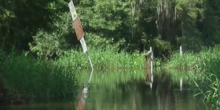 Peace River levels concern Bartow officials as peak of hurricane season looms
