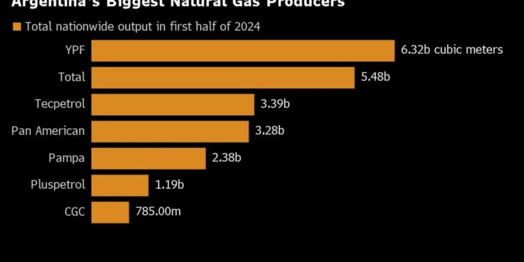 Petrobras Eyes Argentina Deals to Boost Energy Imports