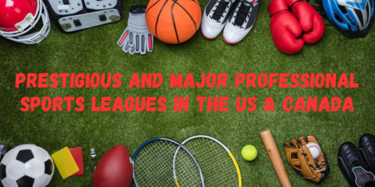 sports leagues in us and canada