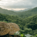 Pro-Bitcoin Nation El Salvador Introduces Bitcoin Certification Program for Civil Servants
