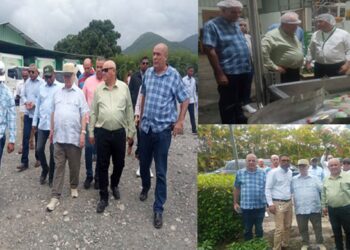 Radio Havana Cuba | Cuban deputy prime minister fulfills work agenda in Dominican Republic