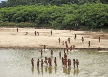 Reclusive tribe attacks loggers suspected of encroaching on their land in Peru's Amazon