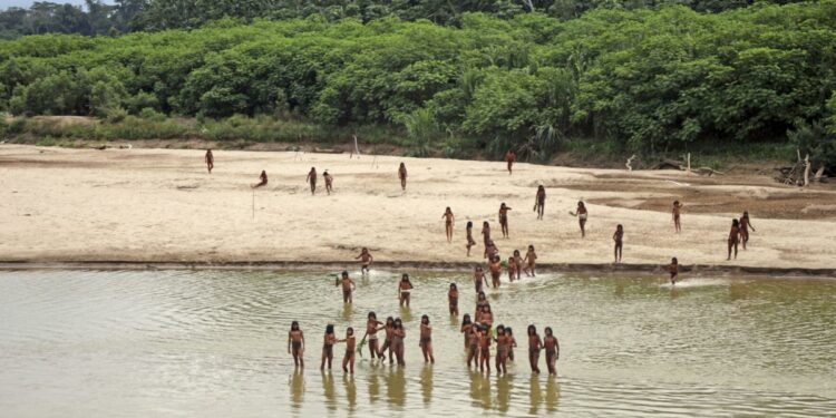 Reclusive tribe attacks loggers suspected of encroaching on their land in Peru's Amazon