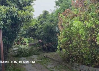 Residents clean up after Hurricane Ernesto made landfall on Bermuda as Category 1 storm