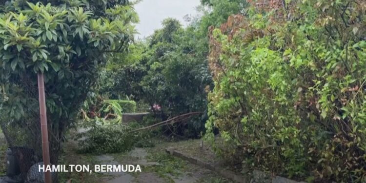 Residents clean up after Hurricane Ernesto made landfall on Bermuda as Category 1 storm