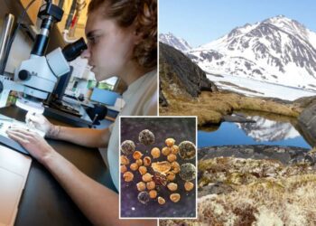 Risk of 'catastrophic' sea level rise increases after worrying Greenland discovery