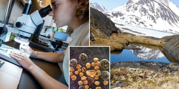 Risk of 'catastrophic' sea level rise increases after worrying Greenland discovery