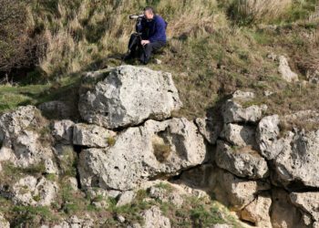 Scientists Made a List of Lost Birds. Now They Want Us to Find Them.