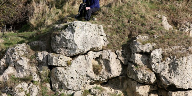 Scientists Made a List of Lost Birds. Now They Want Us to Find Them.