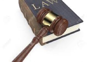 South America - Legal congress to hear the case for a leather law in Argentina