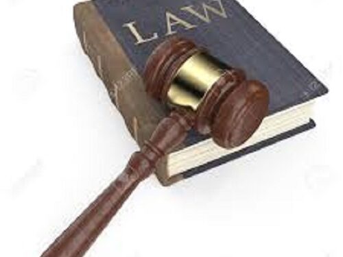 South America - Legal congress to hear the case for a leather law in Argentina