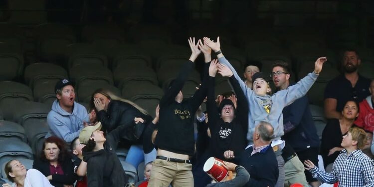 Spectator takes a catch while holding a pint of beer