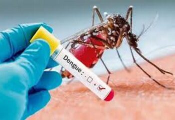 St Vincent and the Grenadines confirms dengue outbreak