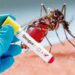 St Vincent and the Grenadines confirms dengue outbreak
