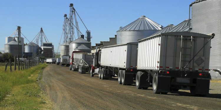 Strike in Argentina interrupts grain shipments at key soy processing ports