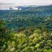 Suriname’s unorthodox plan to finance the protection of its forests