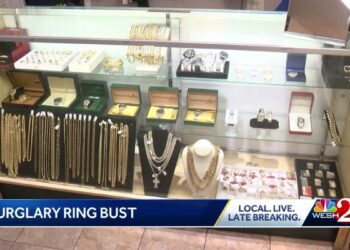 Suspects from South America caught stealing $2 million worth of goods