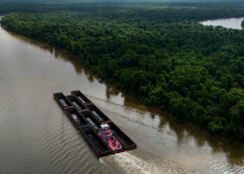 Takeaways from AP's story on Alabama's ecologically important Mobile-Tensaw Delta and its watershed