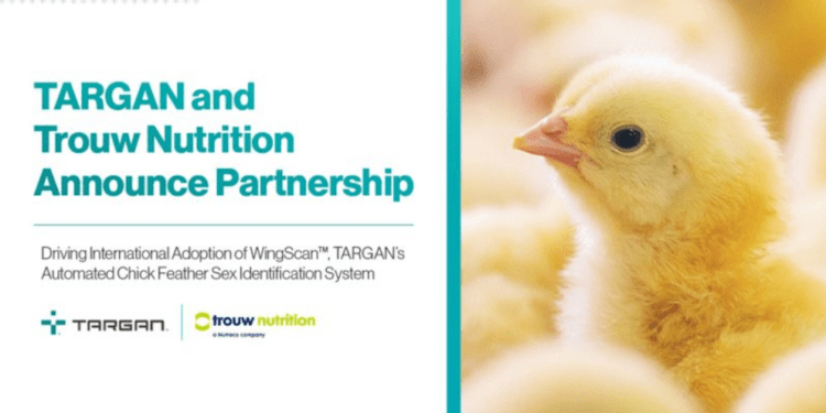 Targan secures first international placement with Trouw Nutrition North America
