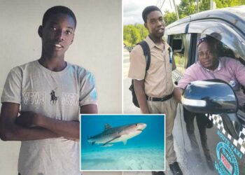 Teen decapitated in vicious shark attack off Jamaica coast