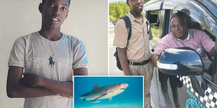 Teen decapitated in vicious shark attack off Jamaica coast