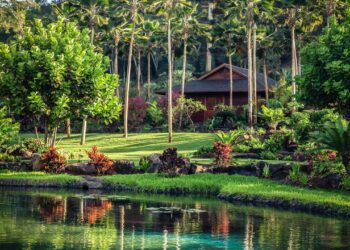 The Best Honeymoon Destinations in the USA