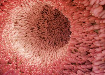 The Microbiome’s Forgotten Cousin Could Be Key to Solving America’s Gut Issues