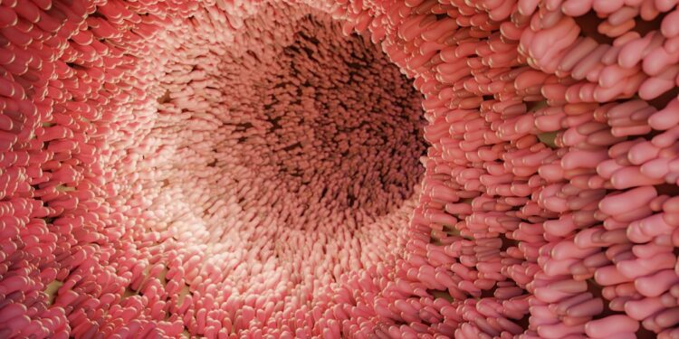 The Microbiome’s Forgotten Cousin Could Be Key to Solving America’s Gut Issues