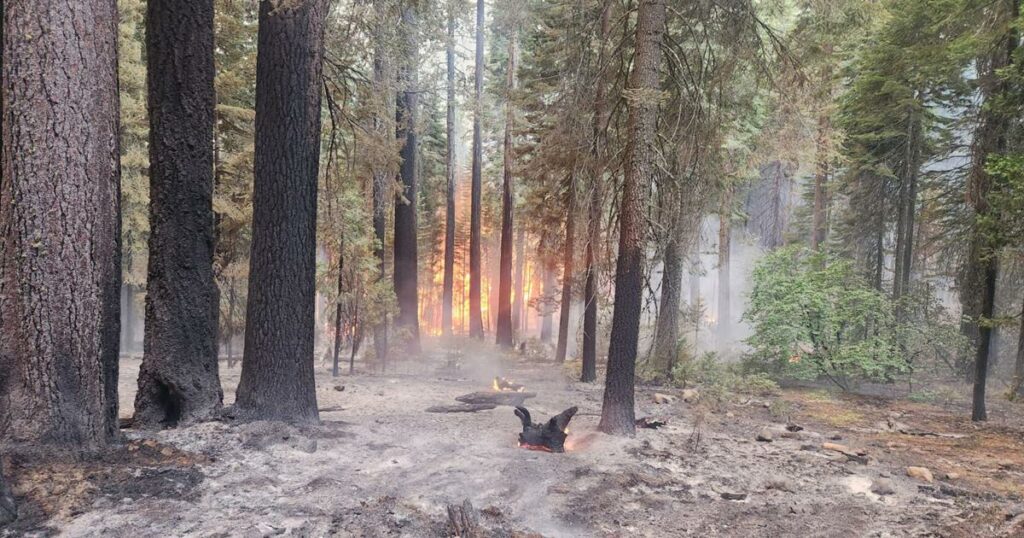 The Park fire is tearing through some of California’s last wild habitat for threatened salmon