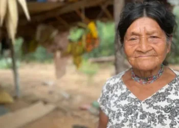BBC  Tsimane woman with dark hair pinned up, wearing a white top with black flowers and a necklace
