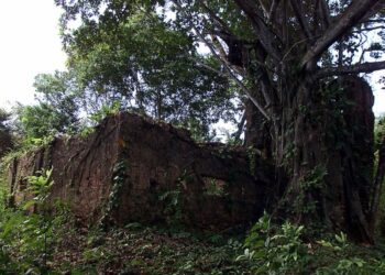 The deadly risks migrants face to cross the land bridge between North and South America