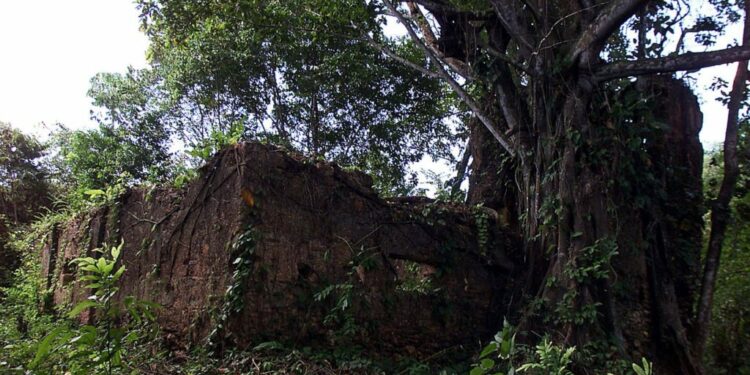 The deadly risks migrants face to cross the land bridge between North and South America