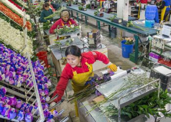 The strong dollar is hurting exports from Latin America