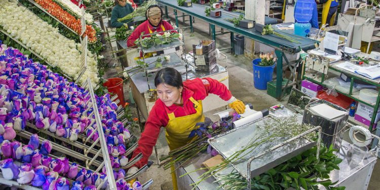 The strong dollar is hurting exports from Latin America