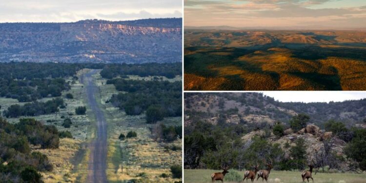 This 500,000-acre New Mexico ranch can be yours for $142M