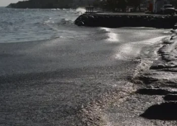 AFP via Getty Images Oil covers Rockly Bay on Tobago island, Trinidad and Tobago. Photo: 10 February 2024
