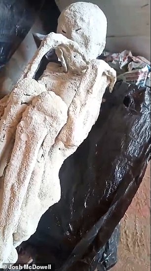 The new video was obtained by a former Colorado prosecutor Josh McDowell, who has assembled a team of senior American forensic experts to finally get to the ground truth behind what have come to be known as the 'Nazca mummies' of Peru. Above: one of the two new specimens