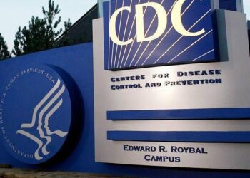 US CDC reports 21 Oropouche cases among travelers returning from Cuba | U.S. & World