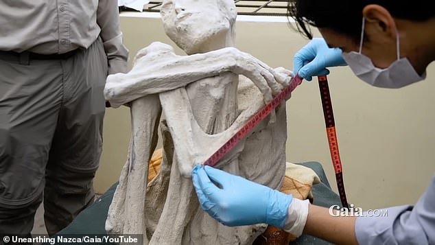 But Rep. Burchett had caveats to his promise to help scientifically analyze the seven-and-counting, so-called 'tridactyl' mummy specimens (like the one pictured), which Maussan maintains could be extraterrestrial: analysis must be 'independent of the federal government'