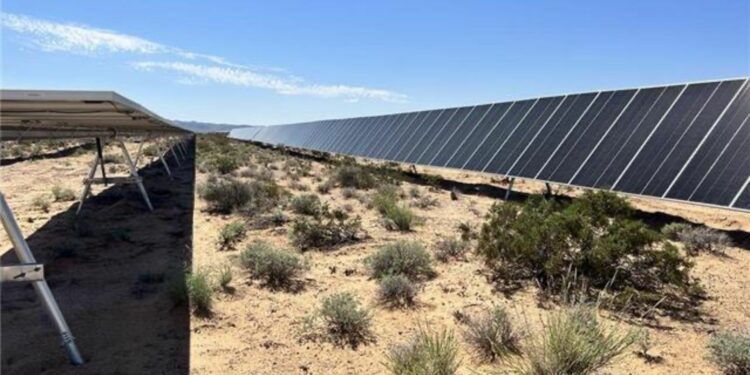 US closing in on China, clears 31 million acres for solar power