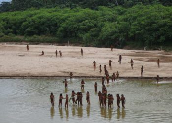 Uncontacted tribe attacks encroaching loggers with bows and arrows in Peru's Amazon: "A matter of life and death"