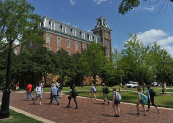 University of Arkansas names new Sturgis Fellows | The Arkansas Democrat-Gazette