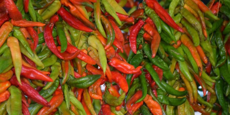 What Is a Hatch Chile? How to Buy and Use The New Mexico-Grown Pepper