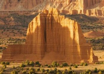 Why Are US National Parks Getting $100 Million Grant?