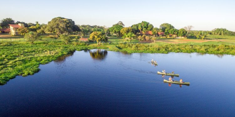 Why Brazil Should Be Your Next Safari Destination