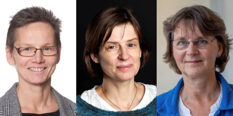 Work-related stress a clear risk factor for sick leave