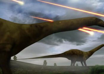 dinosaur footprints: From Brazil to Cameroon: Nearly 260 similar dinosaur footprints found in opposite sides of the Atlantic ocean