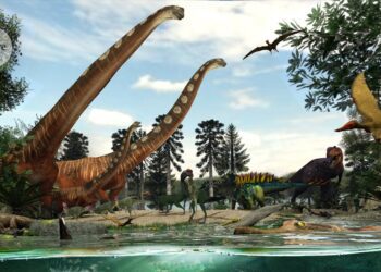 why local researchers are excited