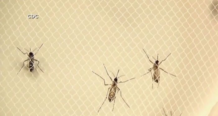 ‘Sloth Fever’ spreads to Central Florida. What is it and where’s the outbreak?